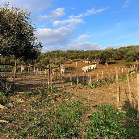 Fattoria Tolomei Casa vacanze *