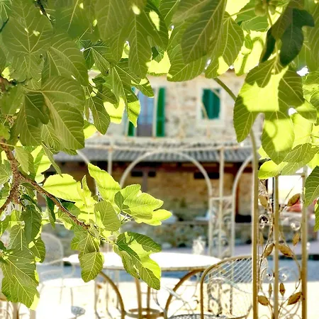 Fattoria Tolomei Campagnatico