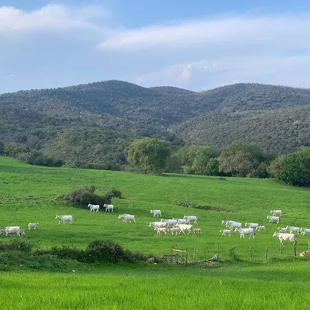 Fattoria Tolomei Feriehus