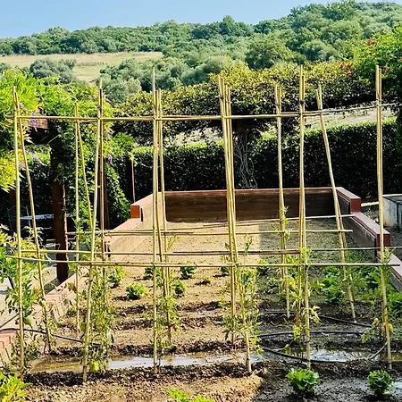 Fattoria Tolomei Holiday home