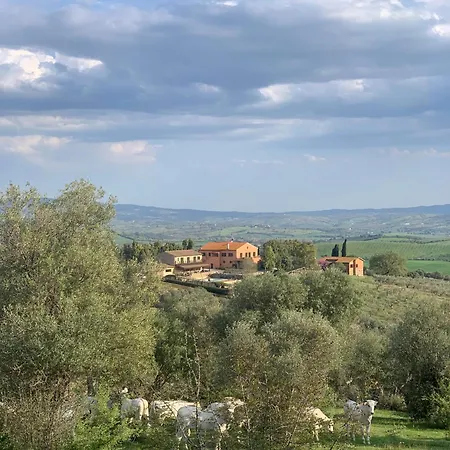 Dom wakacyjny Fattoria Tolomei